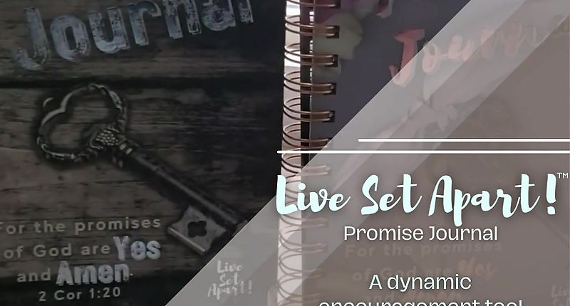 Why you need a Live Set Apart! Promise Journal